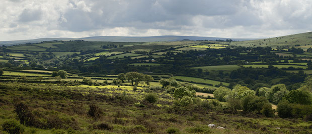 Devon