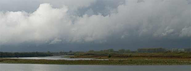 Maasdal